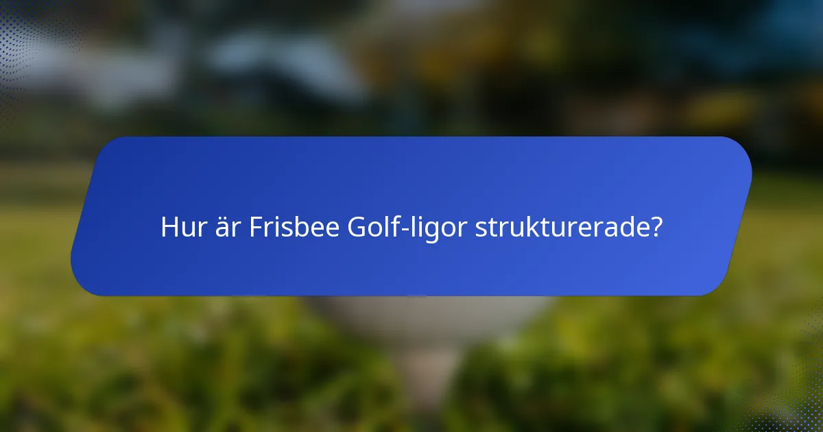 Hur är Frisbee Golf-ligor strukturerade?