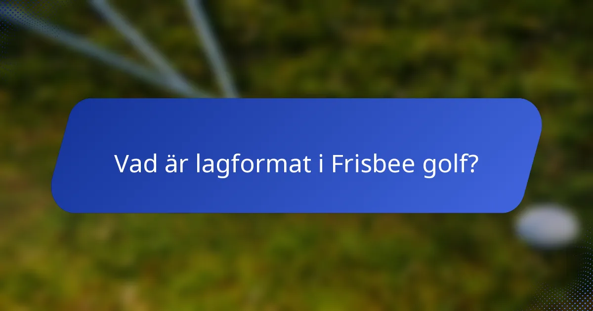Vad är lagformat i Frisbee golf?